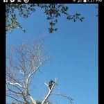 Profile Picture of Steven Hogan (@steven.hogan.756) on Instagram