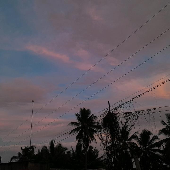 Profile Picture of Amber_Finds (@amber_finds3) on Tiktok