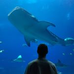 Profile Picture of Dan Larson (@fishmandan5) on Instagram