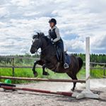 Profile Picture of Juulia Ollanketo (@equestrian.jo) on Instagram
