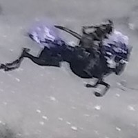 Profile Picture of Owen Peyton (@owen-peyton-3) on Quora