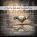 Profile Picture of Siham Hamad (@siham.hamad.5439) on Facebook