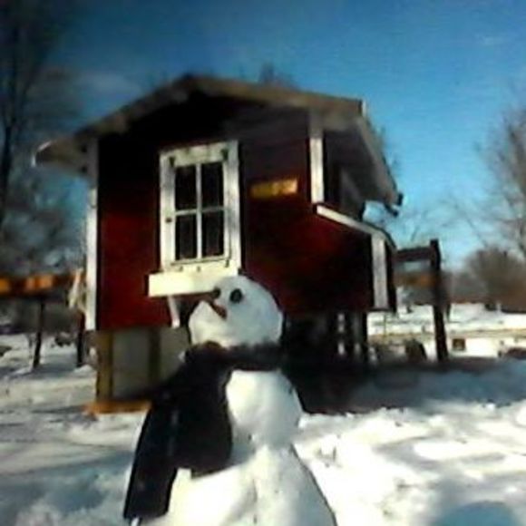 Profile Picture of Bobby Morgan-brummett (@bobbyschickens) on Poshmark