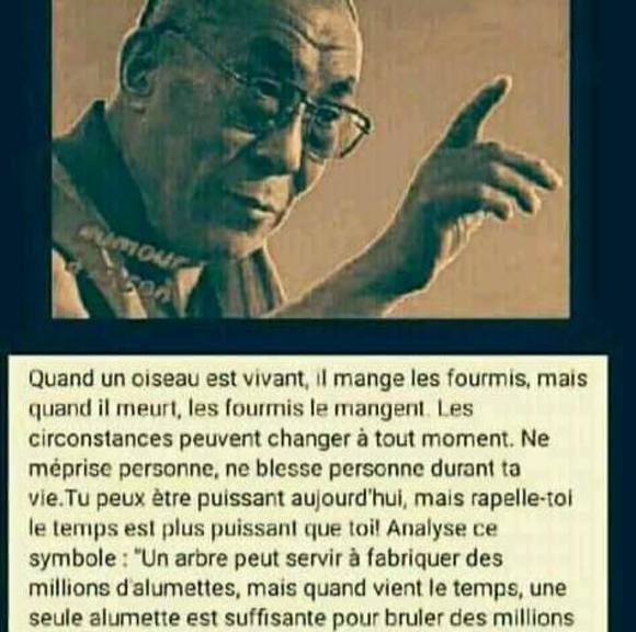 Profile Picture of Basile Heritier (@basileheritier) on Poshmark