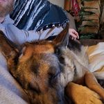 Profile Picture of Daniel Leister (@dancindan14) on Instagram