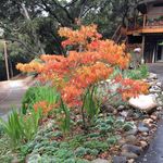 Teresa Bailey-Goldberg - Instagram Profile Picture of Teresa Bailey-Goldberg (@teresabaileygoldberg) on Instagram