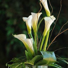 Profile Picture of Claudette Jones (@Claudet31866676) on Twitter