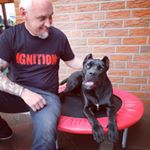 Profile Picture of Mike Trentmann (@miketrentmann) on Instagram