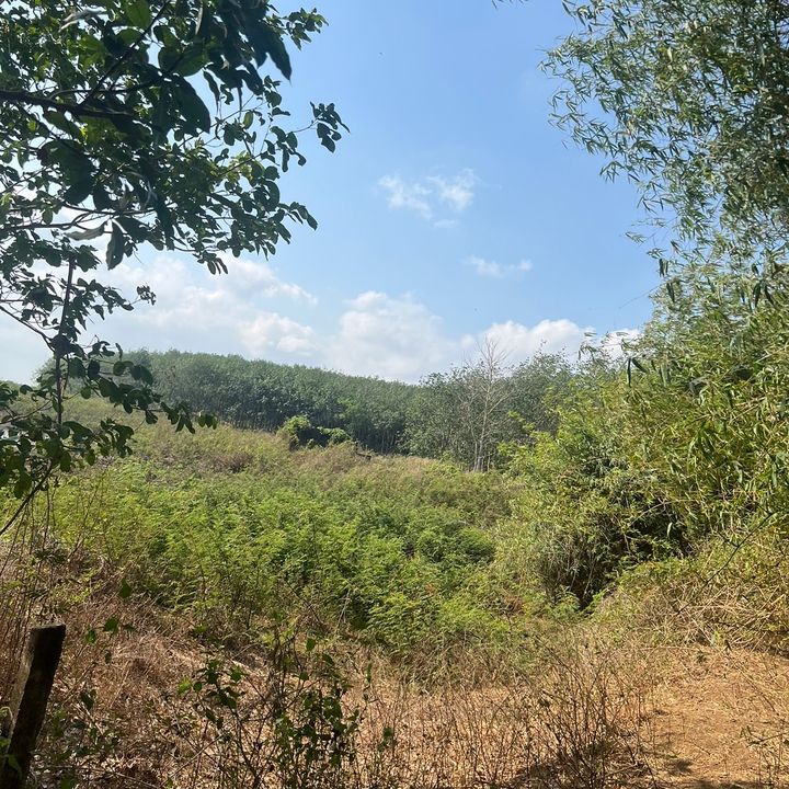 Profile Picture of Pham Anh (@phamanh1907) on Tiktok