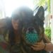 Profile Picture of Olga Riusech (@emeraldeyes8) on Pinterest
