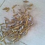 Profile Picture of Tony Prisco Jr. (@priscojr.tony) on Instagram