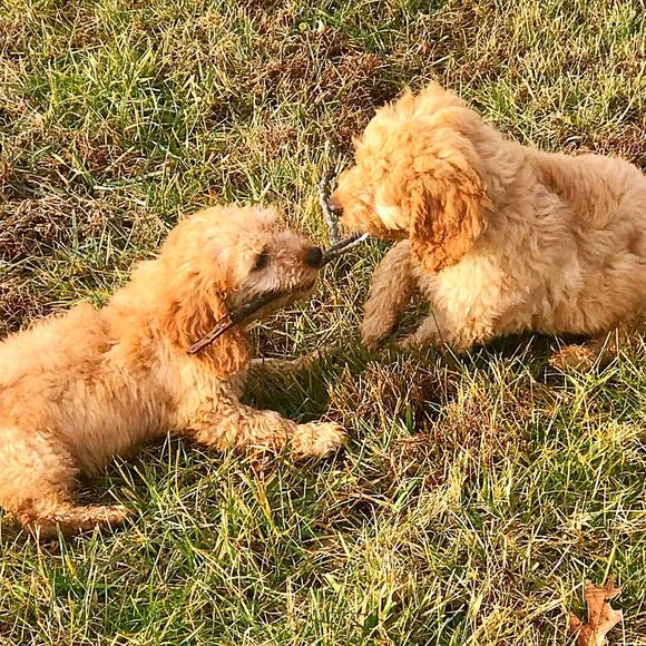 Profile Picture of Michael Boyd (@icuman) on Poshmark