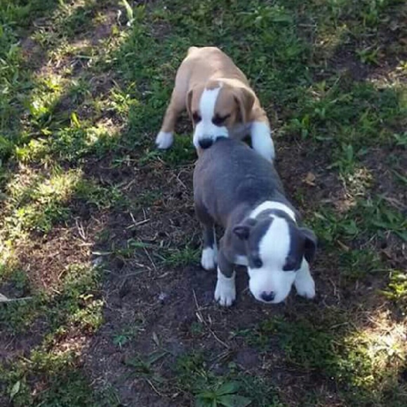 Profile Picture of Danielle Perry (@danielleperry2) on Poshmark