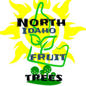 Profile Picture of Jeff Bundy (@RusticRidge260) on Youtube