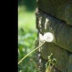 geraldbradleym - Instagram Profile Picture of geraldbradleym (@geraldbradleym) on Instagram