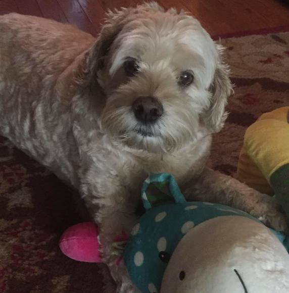 Profile Picture of Paula Miller (@paulaam042) on Poshmark