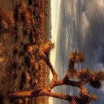 Profile Picture of Glenriddle (@fglenriddle50) on Instagram