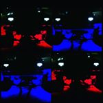 Profile Picture of taylor keeton (@bettytheyeti_xj) on Instagram