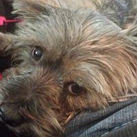 Profile Picture of Ruth Simms (@ruth-simms-2) on Quora