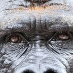 Profile Picture of serdyuk_andrew (@serdyuk_andrew) on Instagram