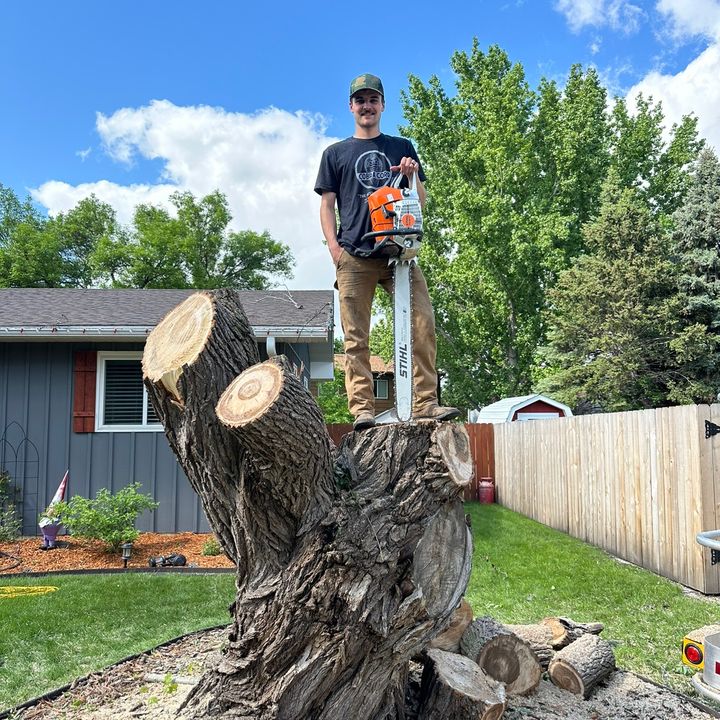Profile Picture of Andy pieper (@andy.pieper) on Tiktok