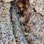 Profile Picture of Rob Finch (@finch2904) on Instagram