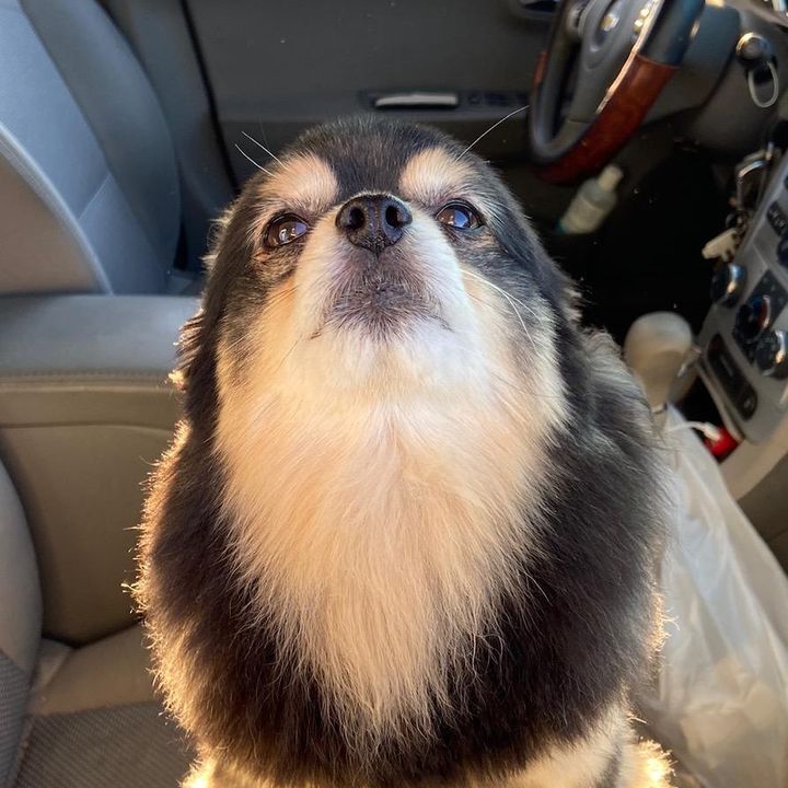 Profile Picture of Aaron Gentry (@@aarongentry74) on Tiktok