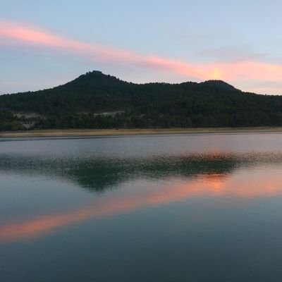 Profile Picture of Daniel Atienza (@danieletus) on Twitter