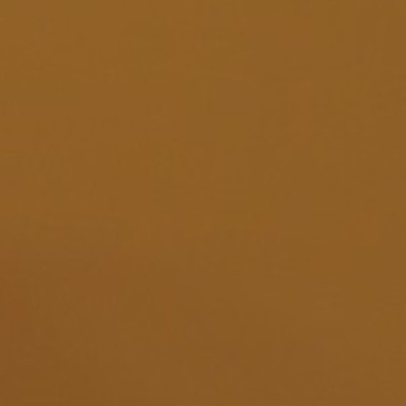 Profile Picture of Maanya Choksey (@mc1908) on Poshmark