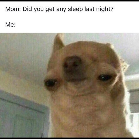 Profile Picture of Emily Quick (@curiousemmy) on Poshmark