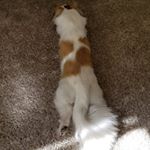 Profile Picture of marie corey (@beth_cromwell) on Instagram