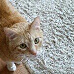 Profile Picture of Skylar Shaw (@sky_slicer) on Instagram