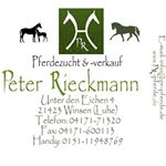 Profile Picture of Peter Rieckmann (@rieckmannp) on Instagram
