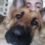 Profile Picture of brendan hodges (@brendanhodges98) on Instagram