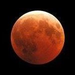 Profile Picture of Jeremy Lyell (@jldelta) on Instagram