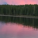 Profile Picture of Trista Wolfe (@trista__spamms) on Instagram