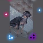 Nutella Carolina✨ - Instagram Profile Picture of Nutella Carolina✨ (@nutella_carolina143) on Instagram