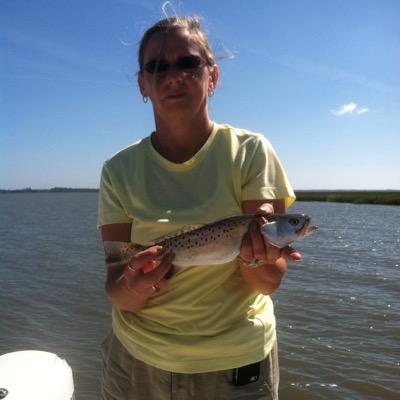 Profile Picture of Steve Meeks (@smeeks62) on Twitter