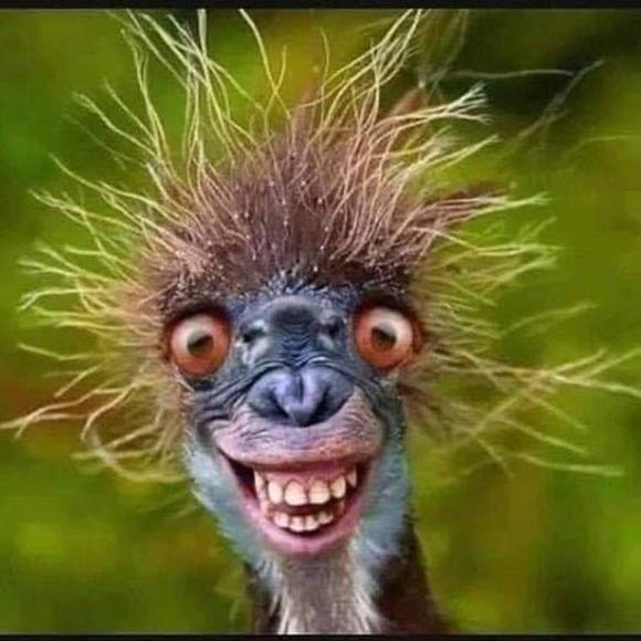 Profile Picture of Marilyn Mauerman (@marilynmauerman) on Poshmark