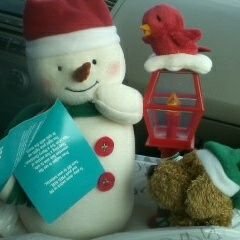 Profile Picture of Robin (@RoseTaylor) on Twitter