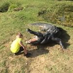 Profile Picture of Kim Owenby (@kimowenby) on Instagram