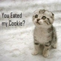 Profile Picture of Justin Ge (@justin-ge-9) on Quora