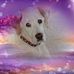 Profile Picture of Luann Shoop (@luann.shoop.7) on Facebook