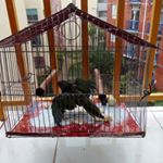 Profile Picture of Doris Caraballo Vásquez (@vasquezdoriscaraballo) on Instagram