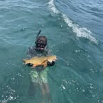 Profile Picture of Zac Rolfe (@zac.rolfe.2025) on Facebook