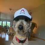Profile Picture of Andrew Sparks (@andrew__sparks22) on Instagram