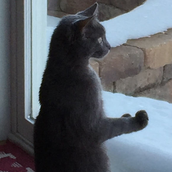 Profile Picture of Violeta Kozlovskaja (@violeta1245) on Poshmark