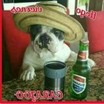 Profile Picture of don ramon (@jaimezapateiro3) on Instagram