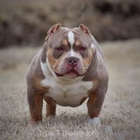 Profile Picture of Allen Andrews (@allen-andrews-11) on Quora