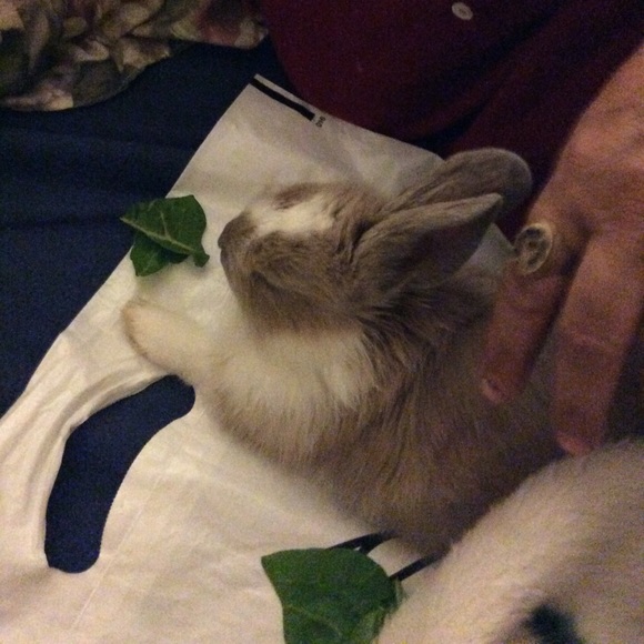 Profile Picture of Krishna Thapa (@krishnathepro) on Poshmark